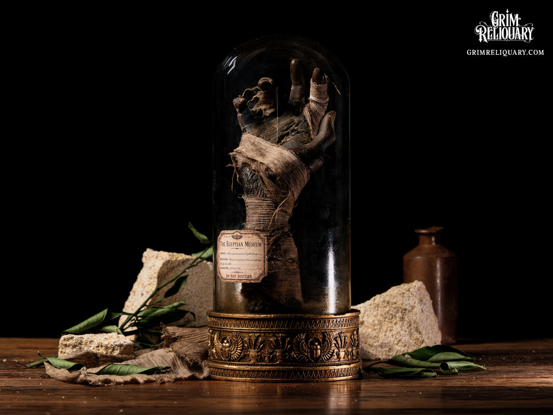 Cursed Mummy Hand Artefact
