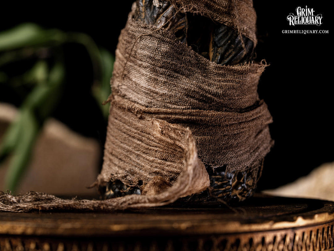 Cursed Mummy Hand Artefact