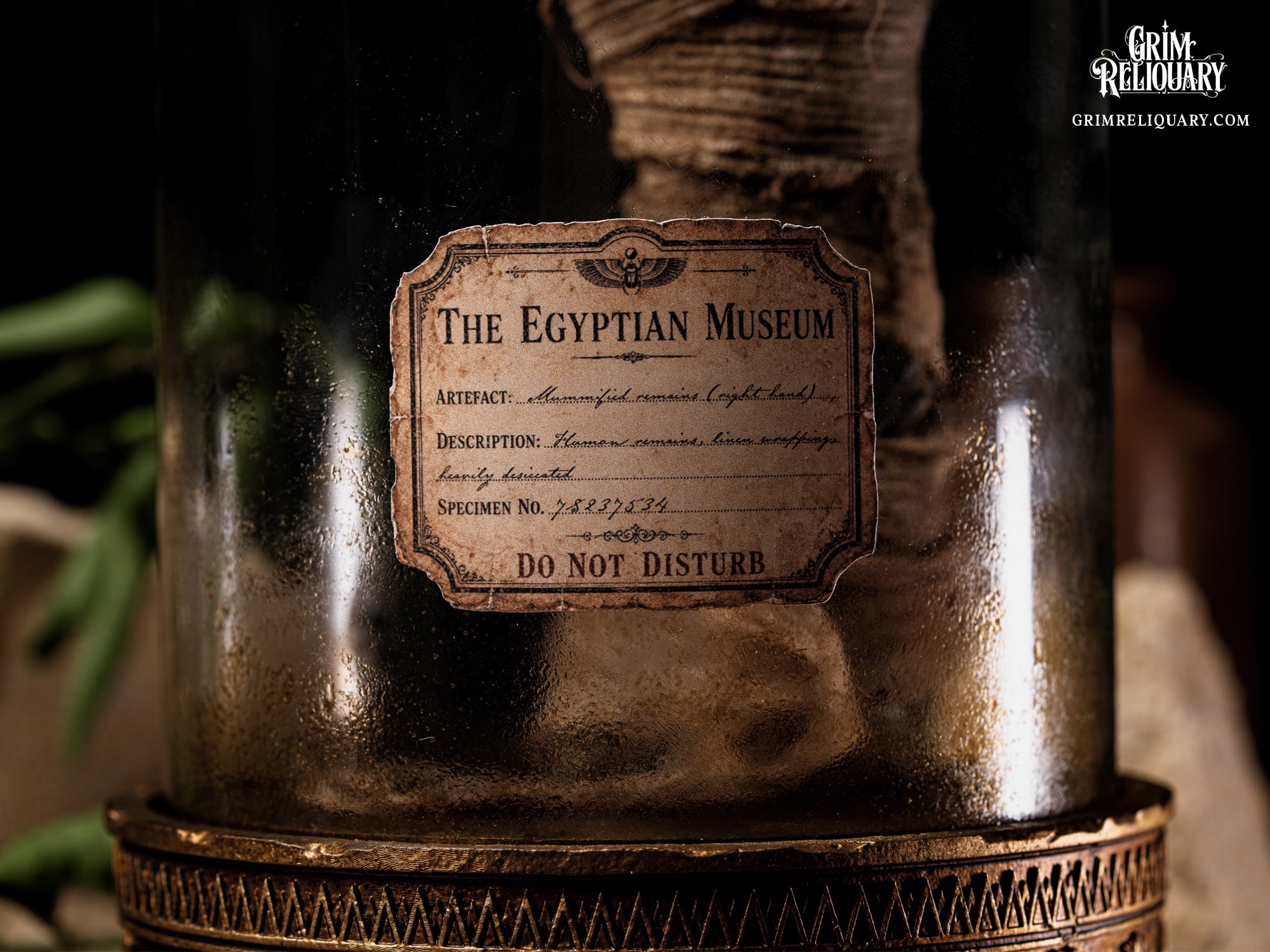 Cursed Mummy Hand Artefact