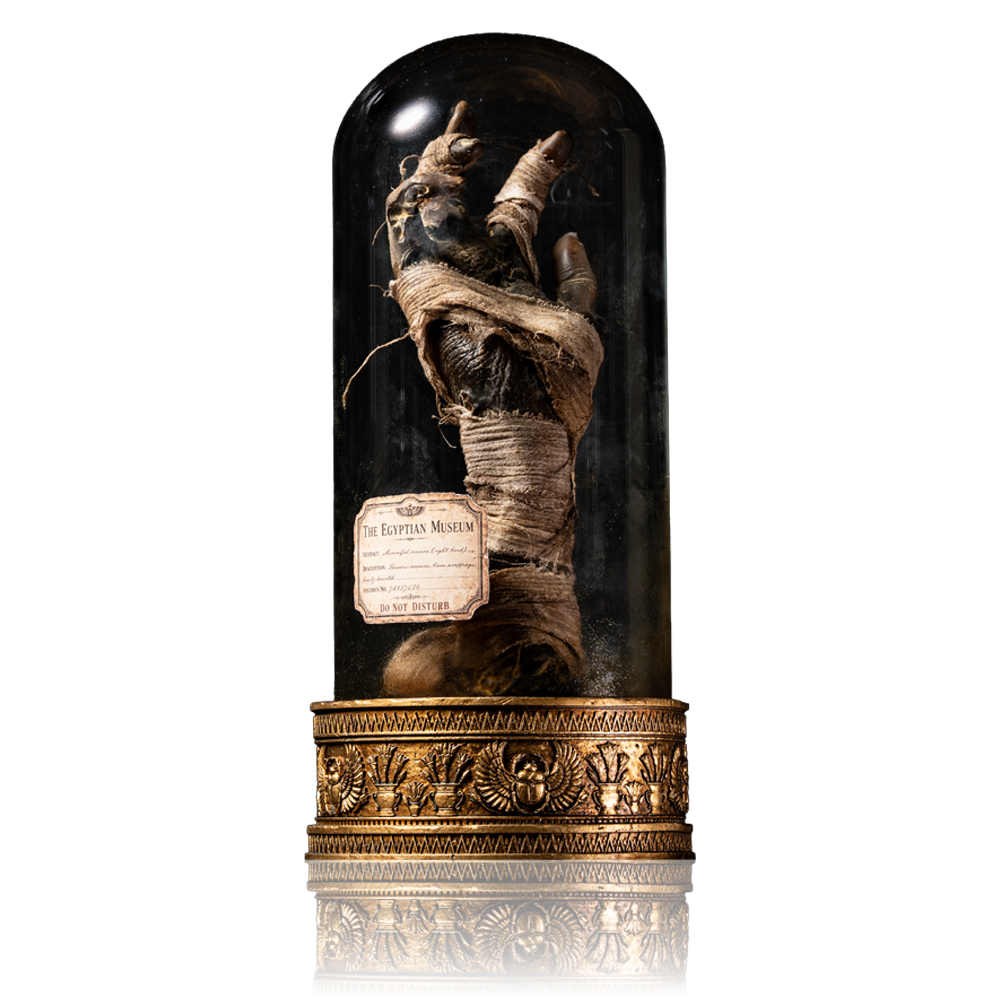 Cursed Mummy Hand Artefact