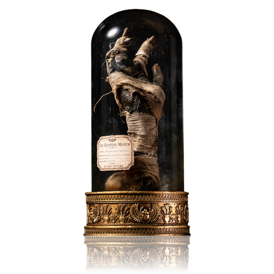 Cursed Mummy Hand Artefact