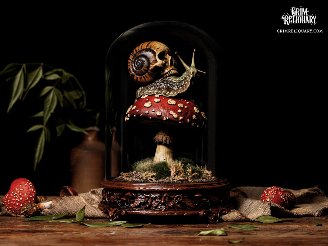 Skull Snail Glass Dome Diorama