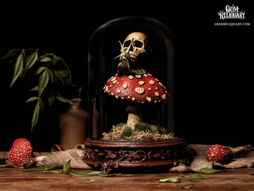 Skull Snail Glass Dome Diorama