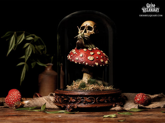 Skull Snail Glass Dome Diorama