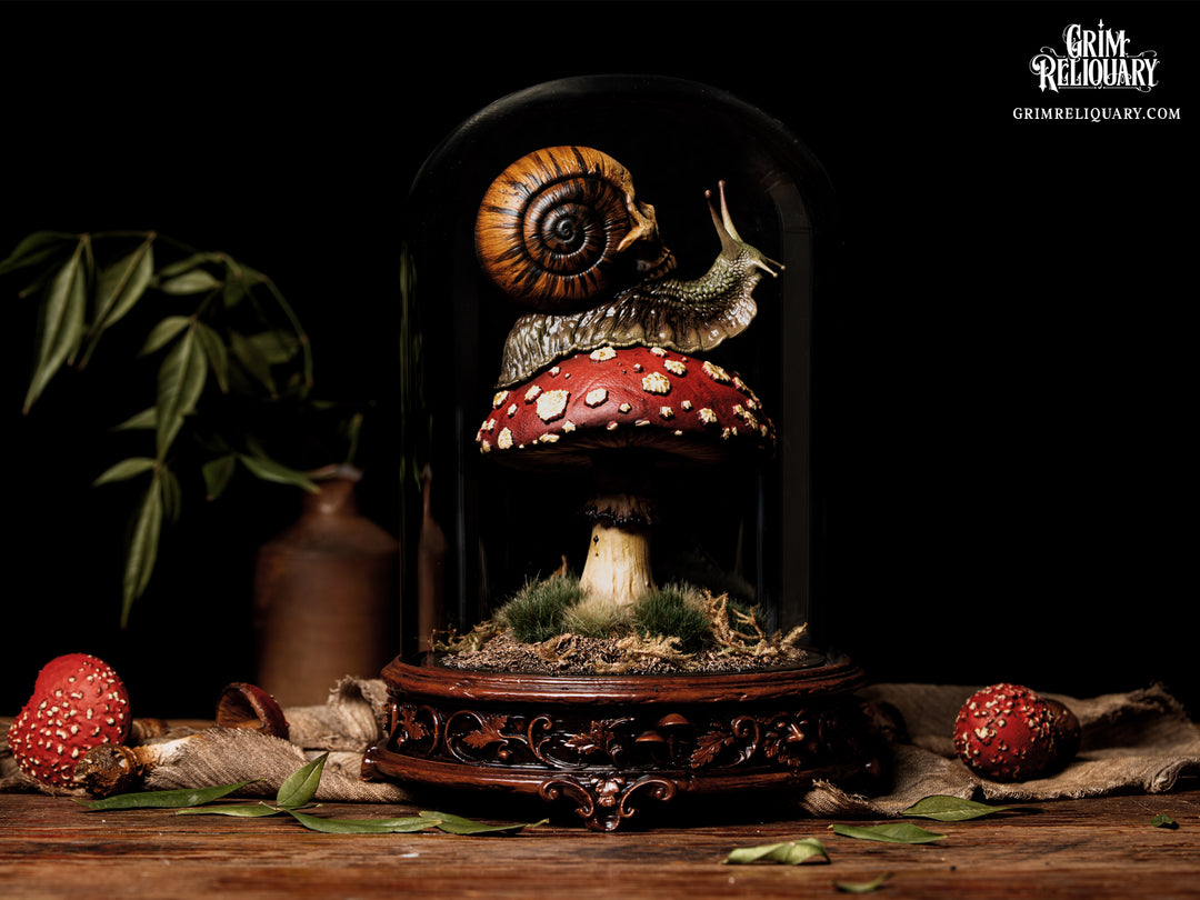 Skull Snail Glass Dome Diorama