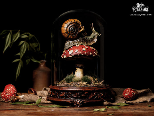 Skull Snail Glass Dome Diorama
