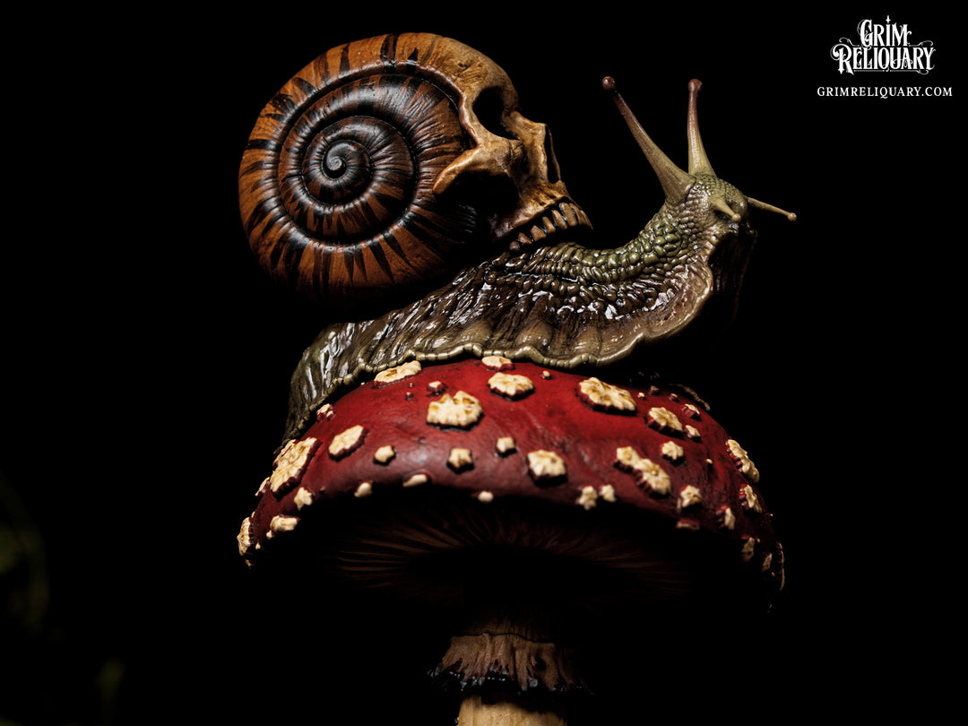 Skull Snail Glass Dome Diorama