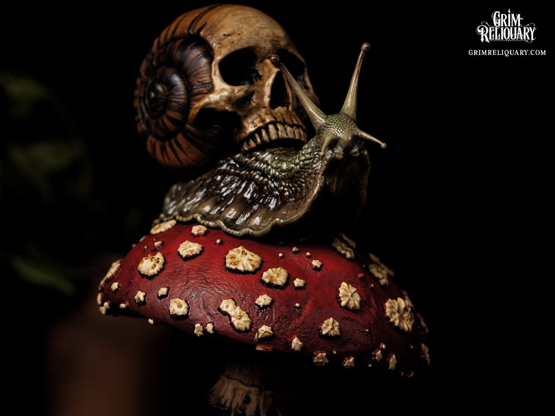 Skull Snail Glass Dome Diorama