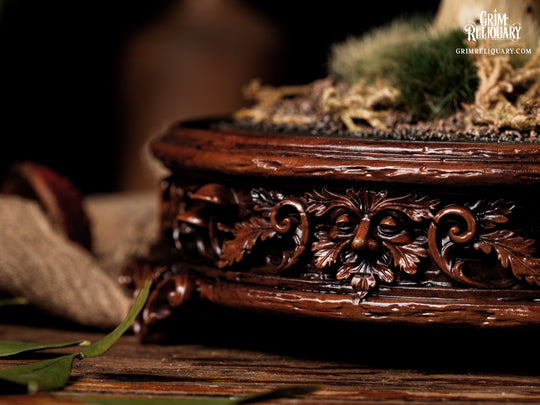 Skull Snail Glass Dome Diorama