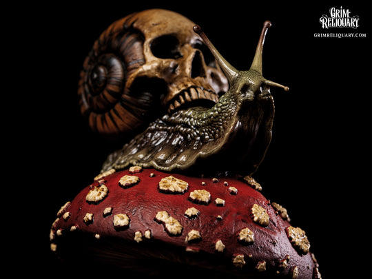 Skull Snail Glass Dome Diorama