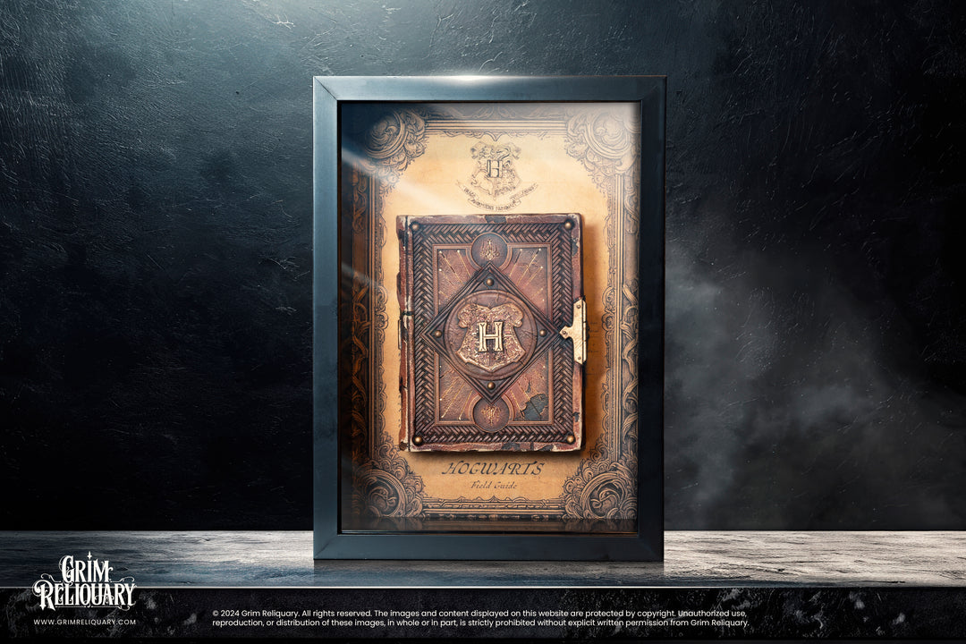Hogwarts Field Guide Display - Grim Reliquary