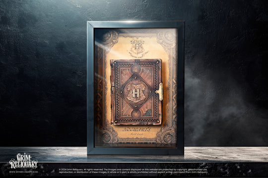 Hogwarts Field Guide Display - Grim Reliquary