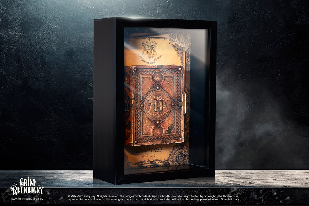 Hogwarts Field Guide Display - Grim Reliquary