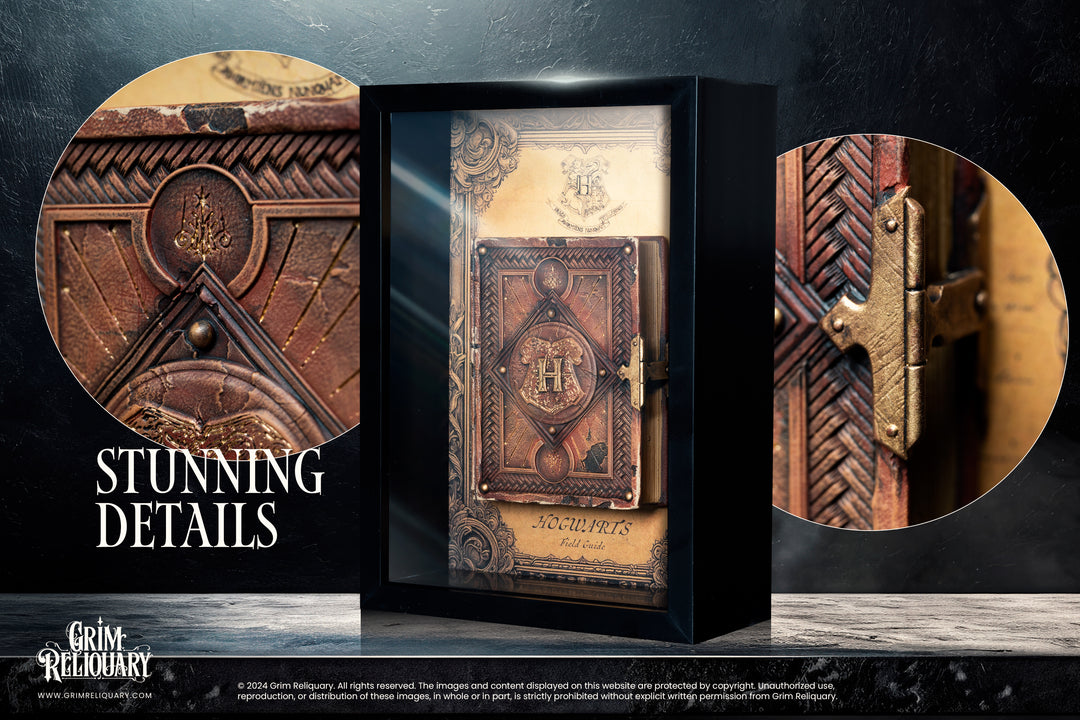 Hogwarts Field Guide Display - Grim Reliquary
