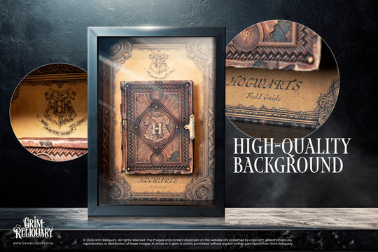 Hogwarts Field Guide Display - Grim Reliquary
