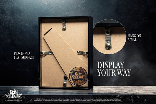 Hogwarts Field Guide Display - Grim Reliquary