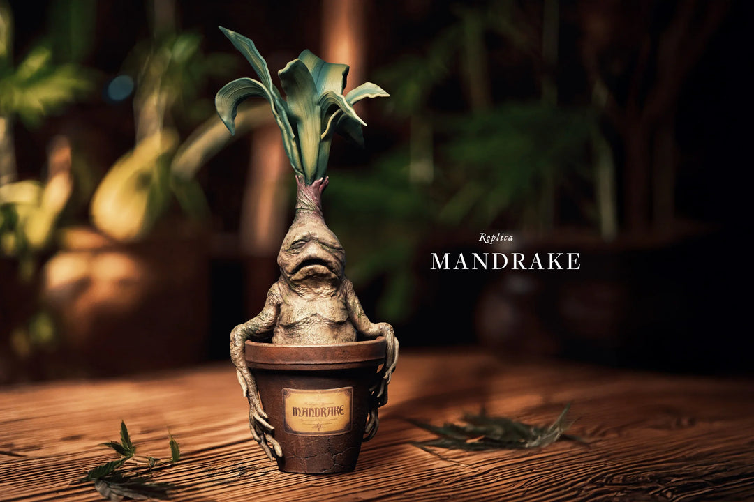 harry potter mandrake plant pot Handmade Mandrake Replica