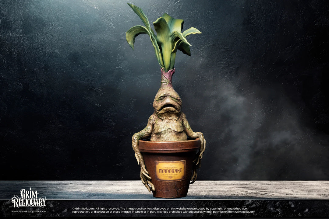 mandrake plant pot Handmade Mandrake Replica