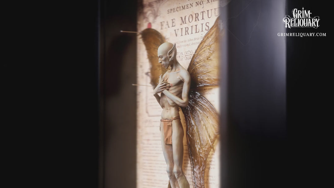 Male Dead Fairy Framed Display