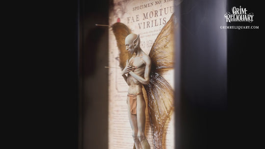 Male Dead Fairy Framed Display